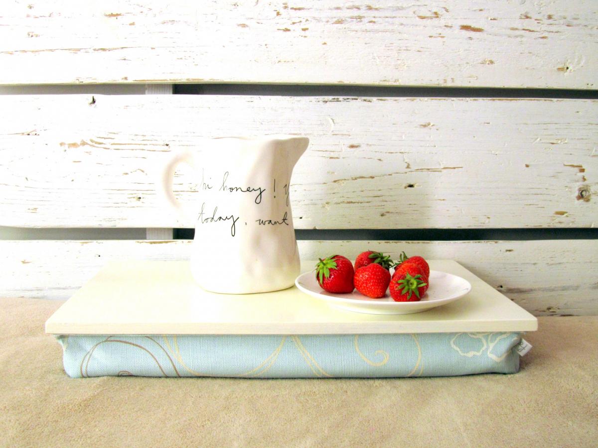 Computer Pillow Tray Without Borders Off White With Sky Blue Floral Cushion Custom Order on Luulla